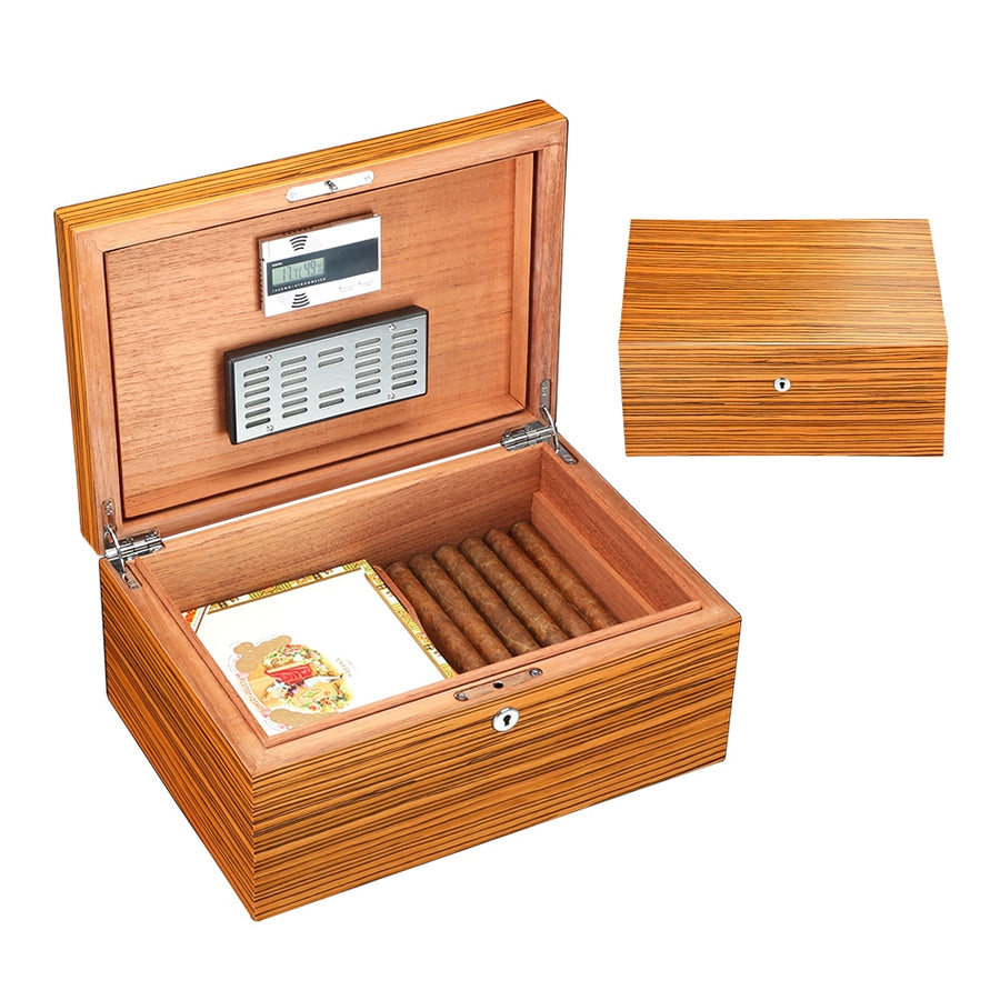 Cigares dans leur Humidor